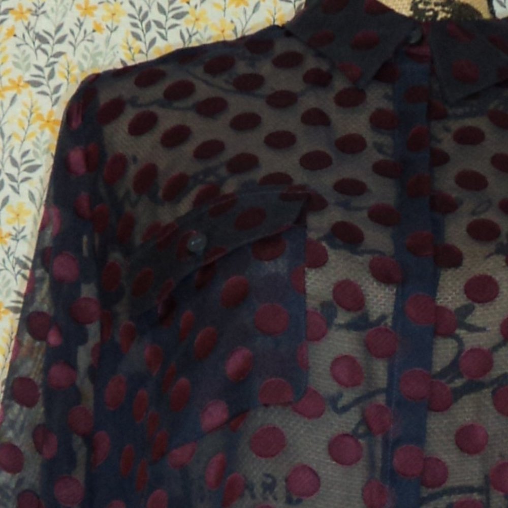 Shear Blouse - image 2